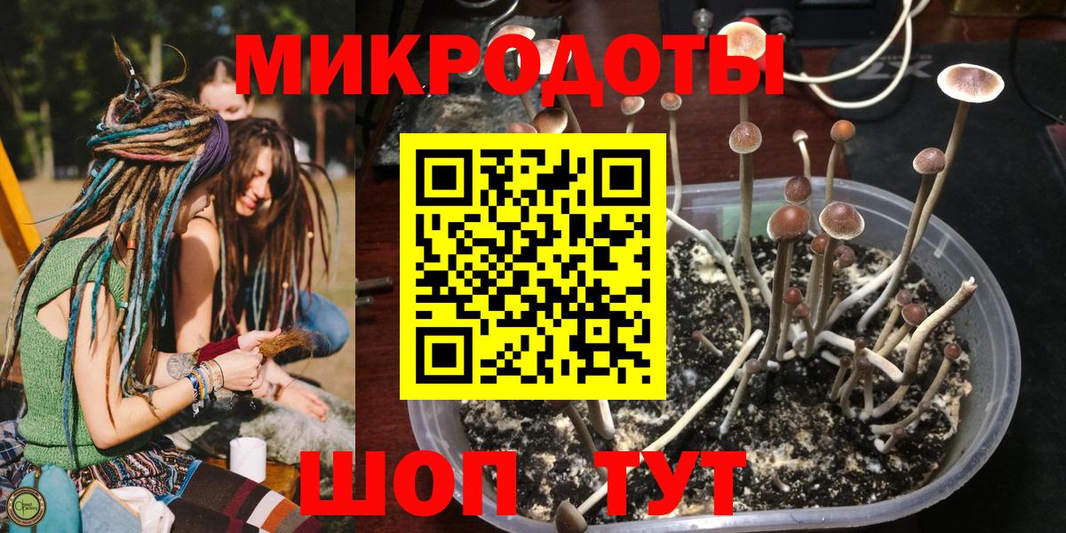 Галлюциногенные грибы MAGIC MUSHROOMS  где купить наркоту  Псилоцибиновые грибы прущие грибы  Новый Уренгой  Вход с VPN 