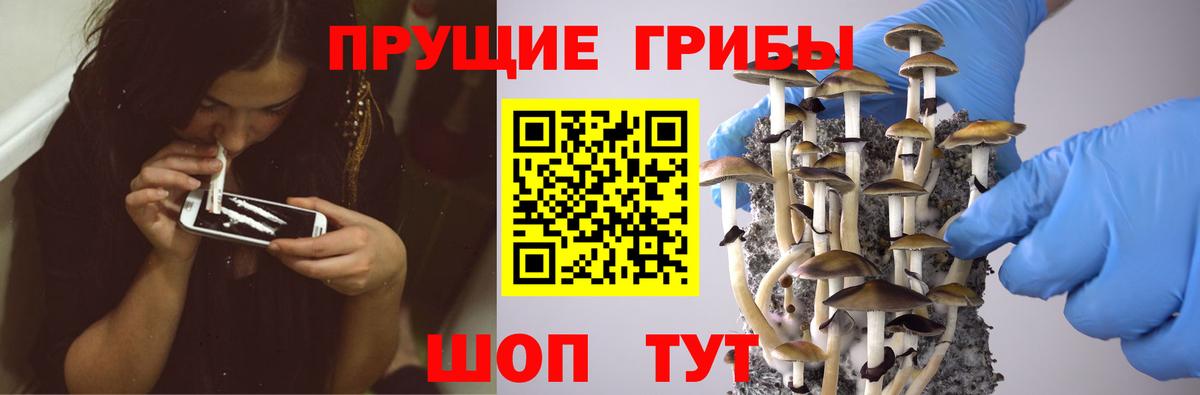 Псилоцибиновые грибы Cubensis Новый Уренгой